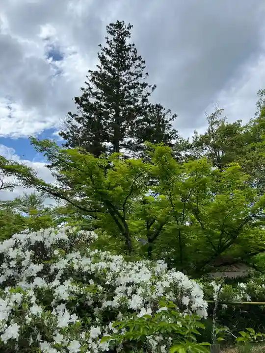 普門院(文知摺観音)(福島県)