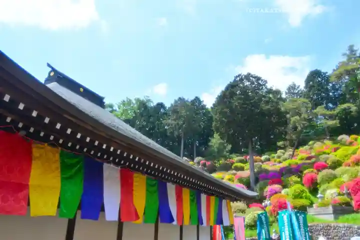 塩船観音寺(東京都)