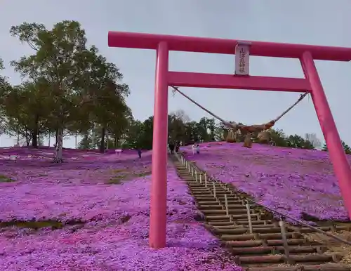 山津見神社の鳥居