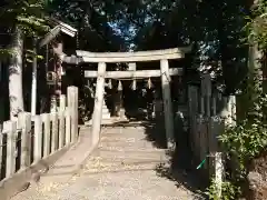 山神社（松原山神社）の鳥居