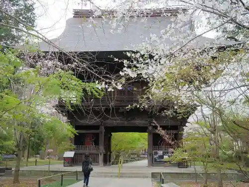 淨眞寺の山門