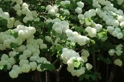長谷寺(奈良県)