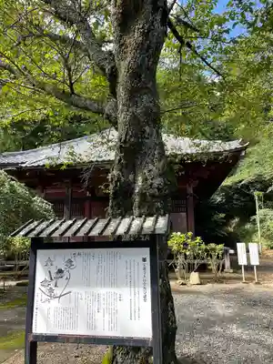 宝蓮寺(神奈川県)
