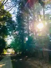 日先神社の建物その他