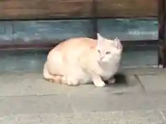 王子神社の動物