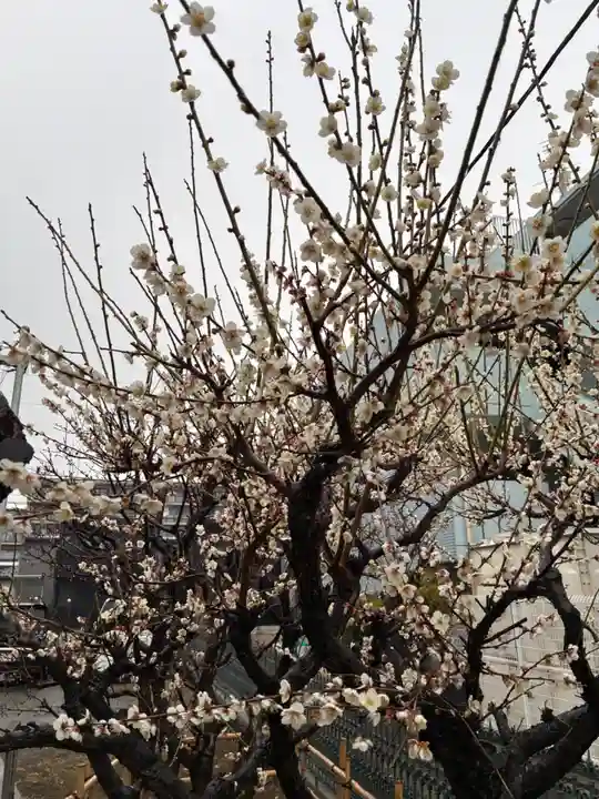 香取神社(千葉県)