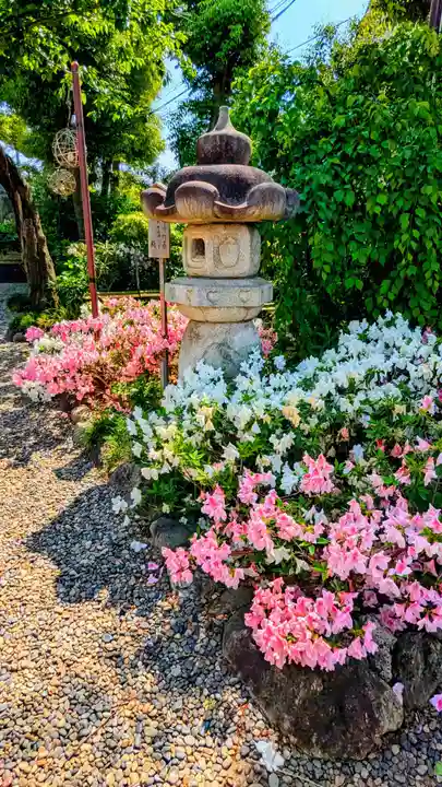 菊田神社の自然