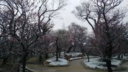 北野天満宮の庭園