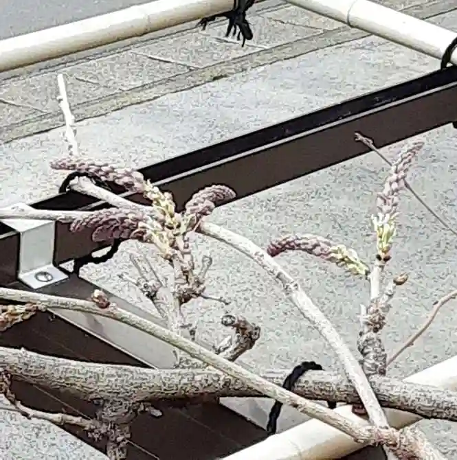 西方山極楽寺(岐阜県)