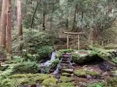 天徳寺の自然