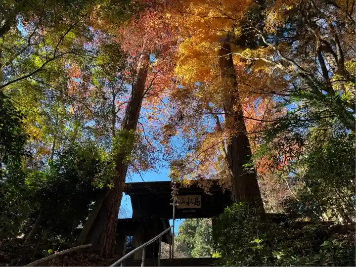 住吉神社(東京都)