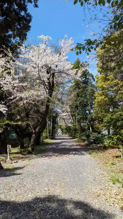 雙栗神社(京都府)