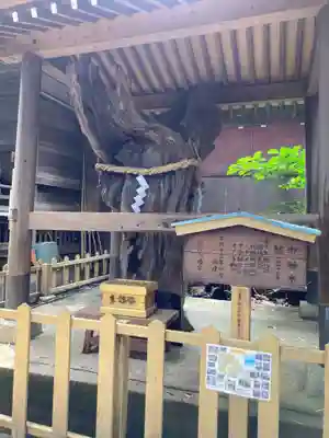 鶴嶺八幡宮(神奈川県)