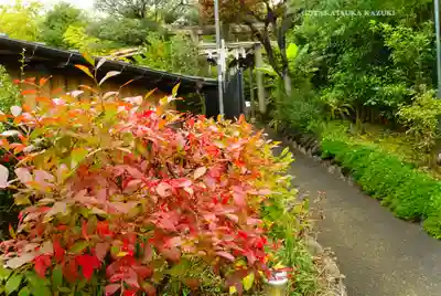 横浜御嶽神社(神奈川県)