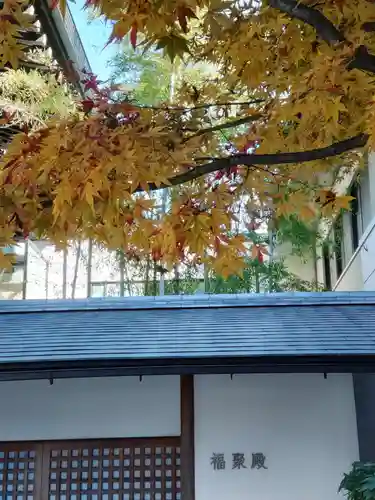 宝勝山　南藏院   蓮光寺のその他建物