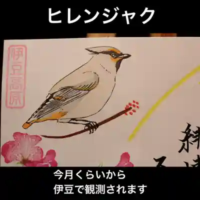 冬鳥ヒレンジャク