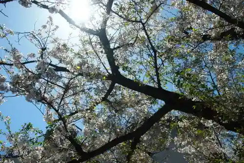 成田山深川不動堂（新勝寺東京別院）(東京都)