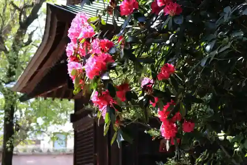 阿邪訶根神社の庭園