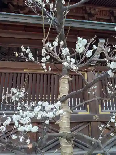 湯島天満宮(東京都)