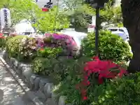 鶴岡八幡宮の自然