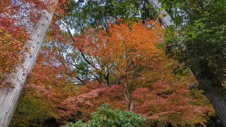 醍醐寺(京都府)