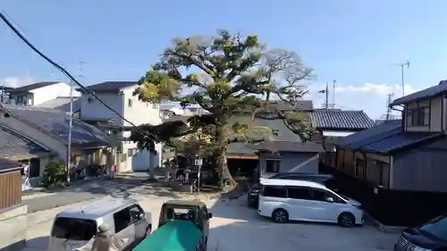 櫟谷七野神社(京都府)