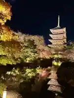 東寺(教王護国寺)(京都府)