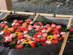 千歳神社の手水