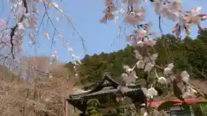 日蓮宗 総本山 塔頭 定林坊(じょうりんぼう)(山梨県)(2022年08月23日(火) 08時51分53秒投稿)