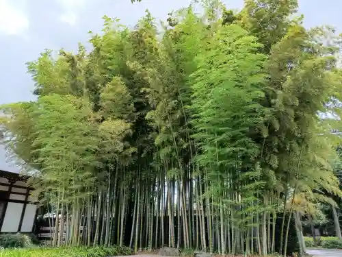 長源寺(東京都)