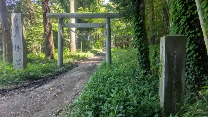 中村八幡宮の{uncategorized: "未分類", other: "その他", undefined: "問題あり", building: "その他建物", grave: "お墓", sacred_gate: "鳥居", guardian: "狛犬", statue: "像", buddha: "仏像", history: "歴史", nature: "自然", garden: "庭園", animal: "動物", pagoda: "塔", temizu: "手水舎", mountain_gate: "山門・神門", sanctuary: "本殿・本堂", subordinate: "末社・摂社", art: "芸術", scenery: "景色", jizo: "地蔵", ema: "絵馬", goshuin: "御朱印", omikuji: "おみくじ", items: "授与品その他", amulet: "お守り", goshuincho: "御朱印帳", eats: "食事", festival: "お祭り", votive_dance: "神楽", shichigosan: "七五三参", wedding: "結婚式", experience: "体験その他", initially: "初詣", around: "周辺", anti_infection: "感染症対策"}