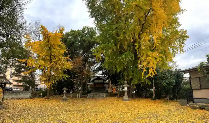 三栖神社(京都府)