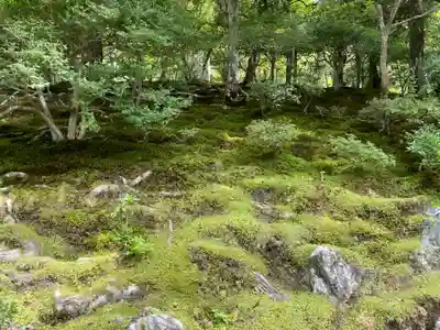 慈照寺（慈照禅寺・銀閣寺）(京都府)