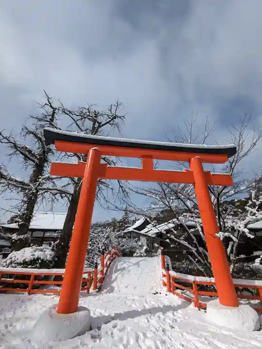 賀茂御祖神社(下鴨神社)の鳥居