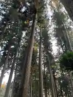 大宮温泉神社(栃木県)