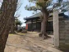 浄竜寺の建物その他