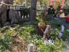 水堂須佐男神社(兵庫県)