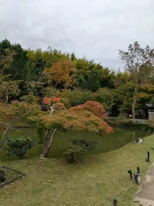 高台寺(高台寿聖禅寺・高臺寺)(京都府)