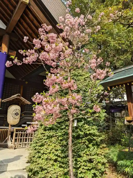 東京大神宮のその他建物