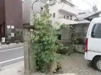 正蔵院(東京都)