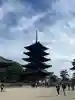 興福寺の{uncategorized: "未分類", other: "その他", undefined: "問題あり", building: "その他建物", grave: "お墓", sacred_gate: "鳥居", guardian: "狛犬", statue: "像", buddha: "仏像", history: "歴史", nature: "自然", garden: "庭園", animal: "動物", pagoda: "塔", temizu: "手水舎", mountain_gate: "山門・神門", sanctuary: "本殿・本堂", subordinate: "末社・摂社", art: "芸術", scenery: "景色", jizo: "地蔵", ema: "絵馬", goshuin: "御朱印", omikuji: "おみくじ", items: "授与品その他", amulet: "お守り", goshuincho: "御朱印帳", eats: "食事", festival: "お祭り", votive_dance: "神楽", shichigosan: "七五三参", wedding: "結婚式", experience: "体験その他", initially: "初詣", around: "周辺", anti_infection: "感染症対策"}