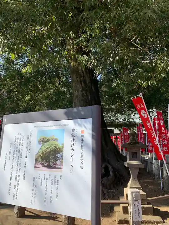 白髭神社の自然
