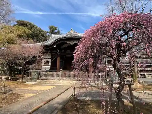 法明寺(東京都)