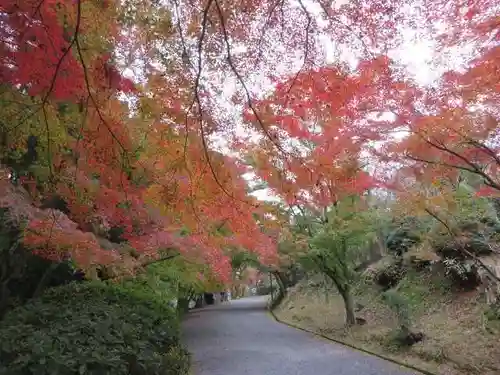 園城寺（三井寺）(滋賀県)