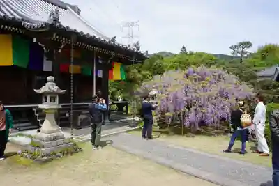 子安地蔵寺の本殿・本堂