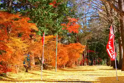 青柳神社の景色