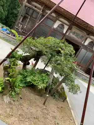 西隆寺（乙女三十三観音）の自然