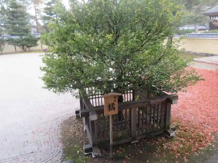 大覚寺(京都府)