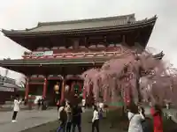 浅草寺の山門・神門