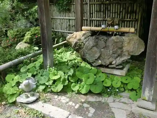 金蔵寺の手水舎